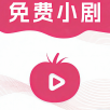 量子影视app官方版